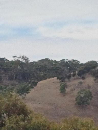 HighRoost Bed & Breakfast Accomodation - Rural Escape - Accommodation Redcliffe 1