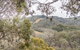 Inala 8 - Thredbo - thumb 1