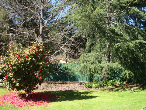Ageri Holiday House - Accommodation Redcliffe 1