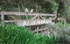 Allenvale - thumb 0