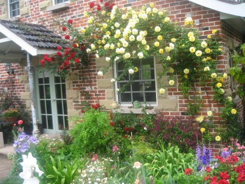 Annie's Cottage - Accommodation Redcliffe 3