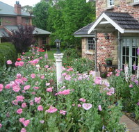 Annie's cottage - Accommodation Redcliffe