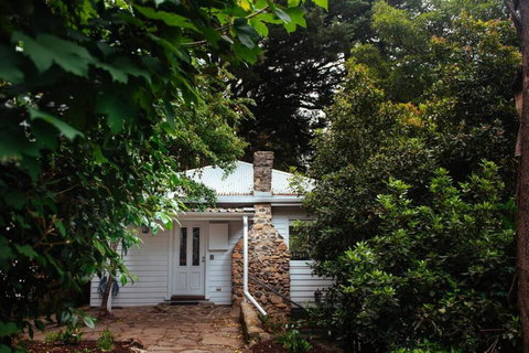 Luxury Treetop Escape With A Garden Glasshouse - Accommodation Redcliffe 3
