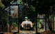 Luxury Treetop Escape With A Garden Glasshouse - thumb 0