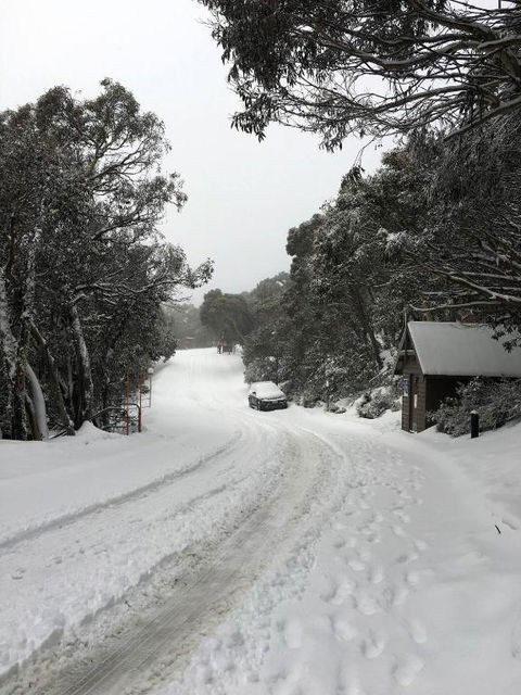 MAGNIFICENT SKIING ON MOUNT BULLER - Accommodation Redcliffe 3