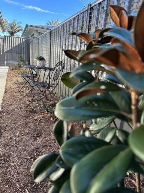 Magnolia Little Gem - Accommodation Redcliffe 0
