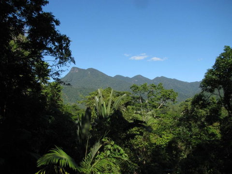Mossman Gorge Bed And Breakfast - Accommodation Redcliffe 0