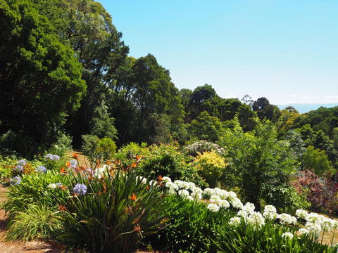 Murrindindi - Accommodation Redcliffe 0