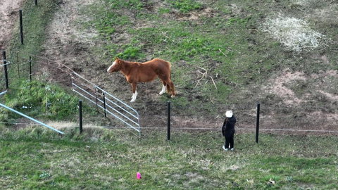Myrtle At Lexington Park - Accommodation Redcliffe 1