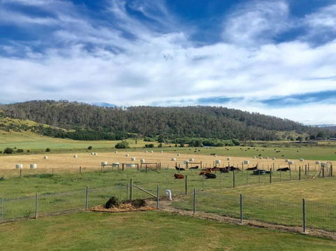 Old Entally Farm - Accommodation Redcliffe 1