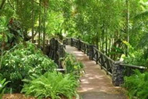 Paddington Pad With Back Deck And Free Car Space Close To Suncorp - Accommodation Redcliffe 2
