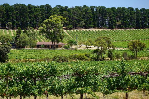 Picturesque Vineyard Farmhouse Nestled On 40-Acres - Accommodation Redcliffe 0