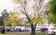 Poplar Tourist Park - thumb 2