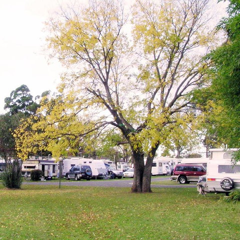 Poplar Tourist Park - Accommodation Redcliffe 2