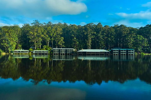 RAC Karri Valley Resort - Accommodation Redcliffe 2