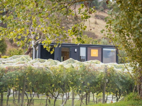 Rae At Lake George Winery By Tiny Away - Accommodation Redcliffe 3