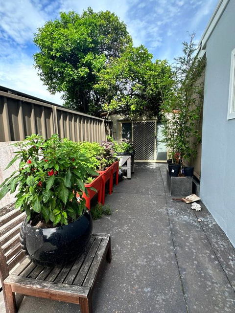 Private, Local Living Studio In Mascot, Airport - Accommodation Redcliffe 2