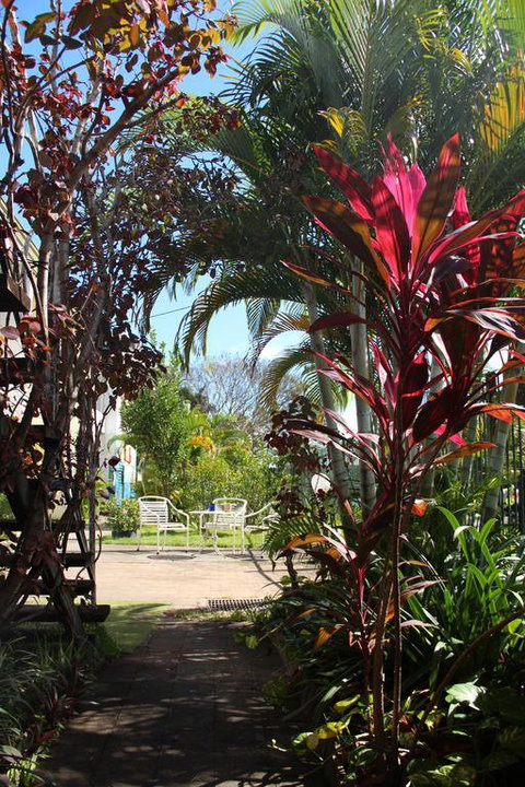 Asylum Cairns Hostel - Accommodation Redcliffe 0