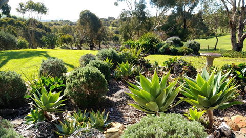 Austiny Bed And Breakfast Victor Harbor - Accommodation Redcliffe 2