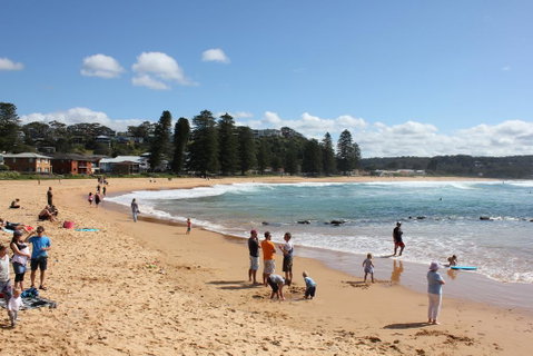 Avoca Beach Cape Cottage - Accommodation Redcliffe 0