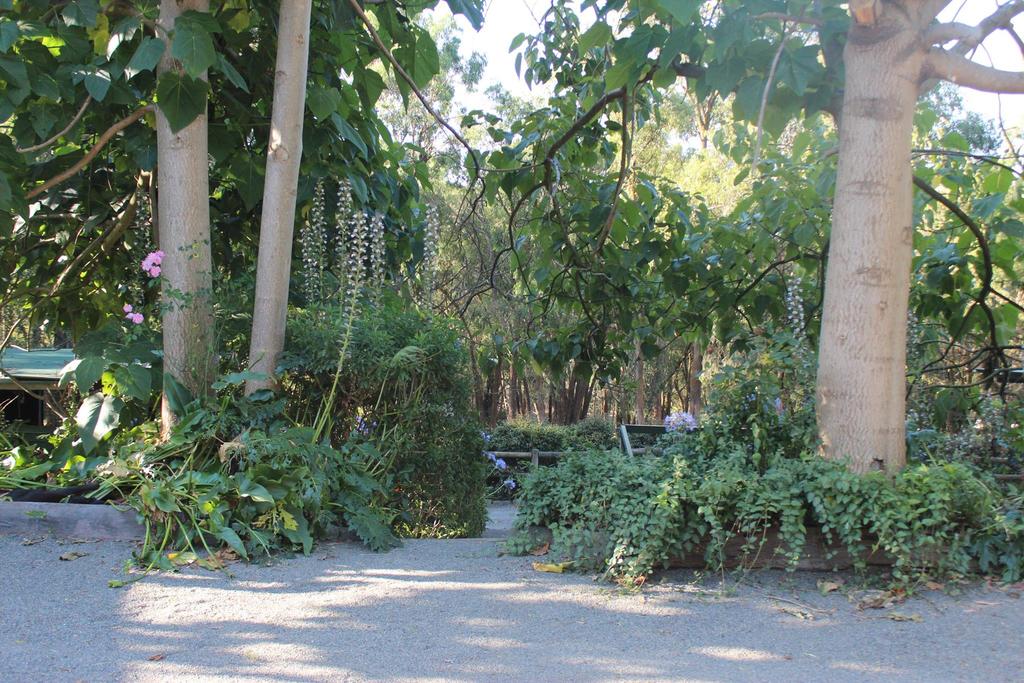 Clematis VIC Accommodation Redcliffe