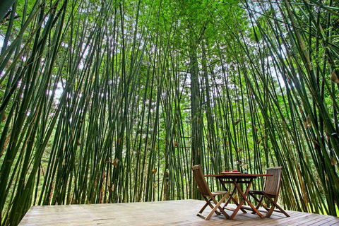 Azabu Boutique Accommodation - Accommodation Redcliffe 1