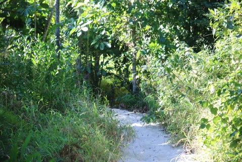 Backpackers Inn On The Beach - Accommodation Redcliffe 2