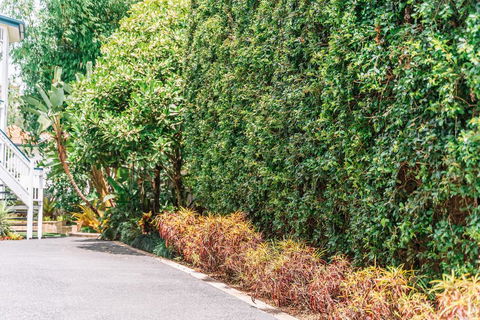 Balmoral Queenslander - Accommodation Redcliffe 3