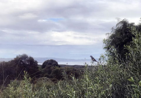 Banksia @ Cosy Corner - Accommodation Redcliffe 1