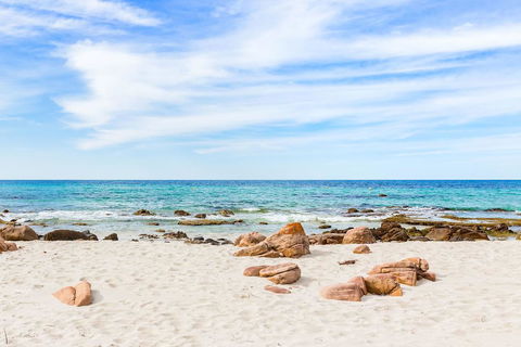 Beachfront On Eagle Bay - Accommodation Redcliffe 2
