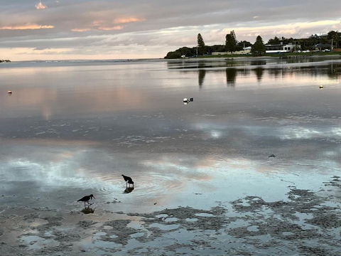 River Studio - Idyllic Location - Accommodation Redcliffe 0
