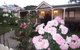 Reid\'s Place - thumb 0