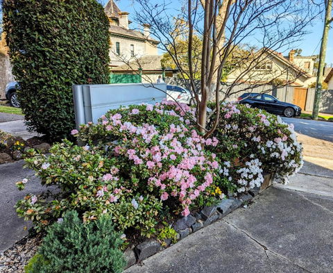 Riverside Haven On City Doorstep - Accommodation Redcliffe 1