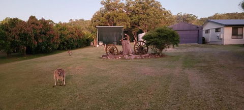 Roo Or 2 On Streeter - Accommodation Redcliffe 2