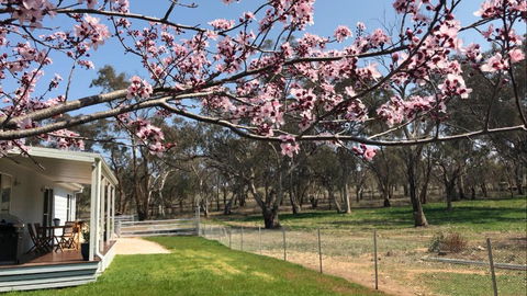 Rosewood Cottage - Accommodation Redcliffe 3