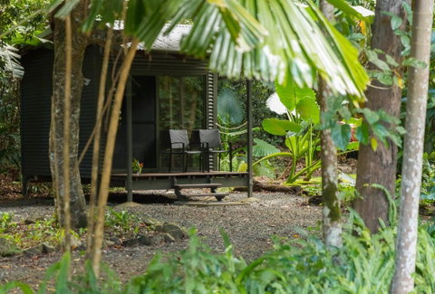 Safari Lodge - Accommodation Redcliffe 2