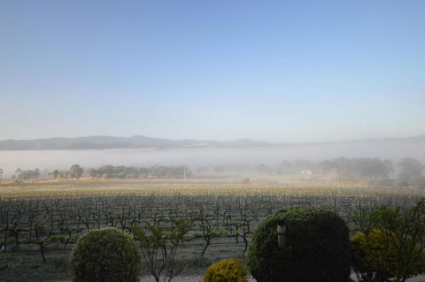 Sancerre Estate - Accommodation Redcliffe 3