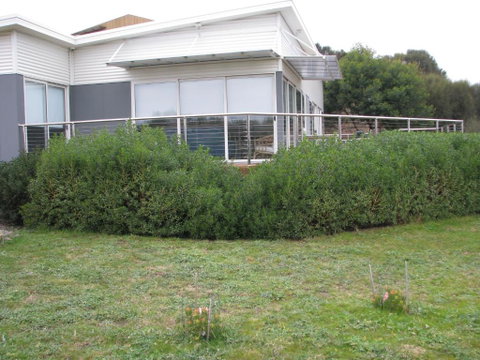 Sandbar Beach House - Accommodation Redcliffe 3