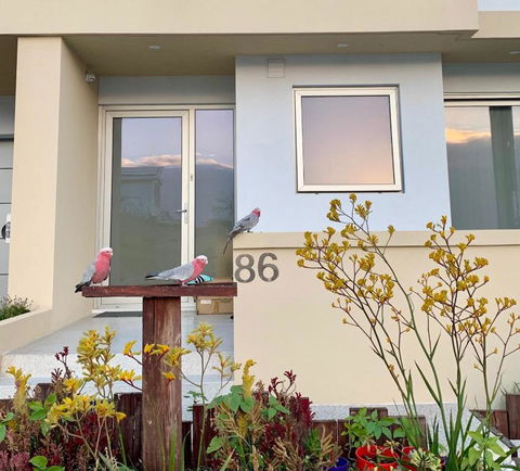 Sorrento Bluewater Apartment - Accommodation Redcliffe 2