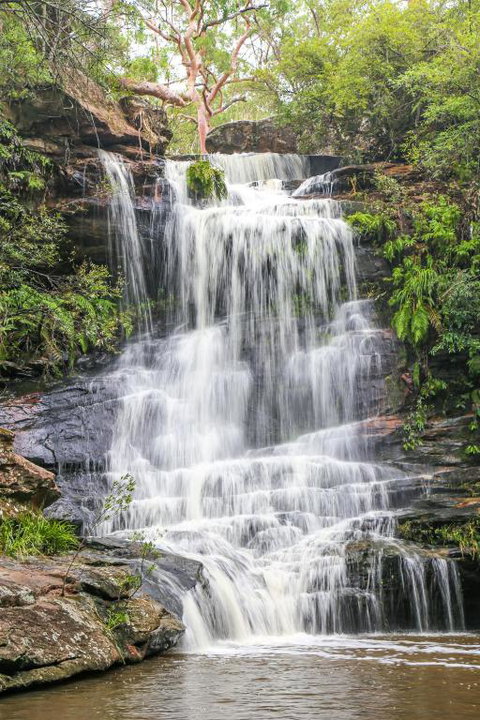 Stunning Peaceful Holiday Haven With Waterfall - Accommodation Redcliffe 1