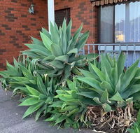 Beautiful Bedroom in Bentleigh East - Accommodation Redcliffe
