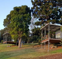 Beechmont Bean Cabins - Accommodation Redcliffe