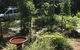 Bellarose Guest House - thumb 1