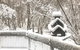 Belltrees - thumb 1