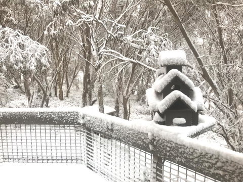 Belltrees - Accommodation Redcliffe 1