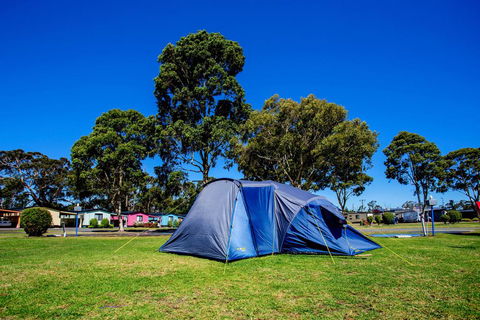 BIG4 Traralgon Park Lane Holiday Park - Accommodation Redcliffe 2