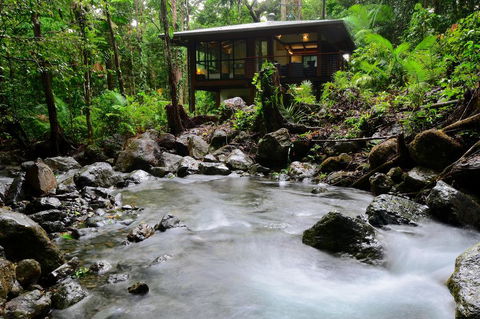 Black Palm Cape Tribulation - Accommodation Redcliffe 2