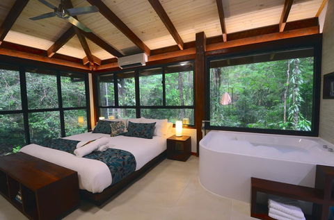 Black Palm Cape Tribulation - Accommodation Redcliffe 3