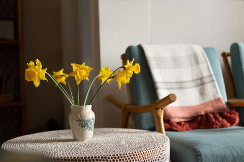 Boho Cottage - Accommodation Redcliffe 1