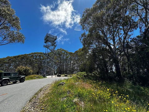 Tiny House At Gilderoy Valley Views - Accommodation Redcliffe 1